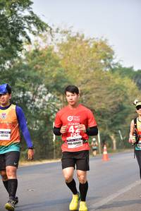 BIB: 47093, 105, 46849
                            <button type="button" onclick="openModal(10180255)" class="btn btn-primary btn-sm float-right btn-popup" data-toggle="modal" data-target=".modal-high-quality">
                        <i class="fas fa-shopping-cart"></i> Add to Cart
                    </button>
                                            <button type="button" onclick="isThisMe(10180255, true)" class="btn btn-success btn-sm float-right btn-popup btn-isme hidden" data-toggle="tooltip" data-placement="bottom" title="นี่คือรูปของคุณใช่ไหม คลิกที่นี่เพื่อเอาเข้าอัลบั้ม">
                        <i class="fas fa-plus"></i> Add to album
                    </button>
                    <button type="button" onclick="isThisMe(10180255, false)" class="btn btn-warning btn-sm float-right btn-popup btn-isnotme hidden">
                        <i class="fas fa-ban"></i> Remove from album
                    </button>